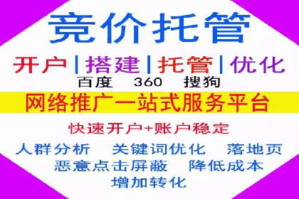 托管SEM竞价全解析：从入门到精通的实战案例